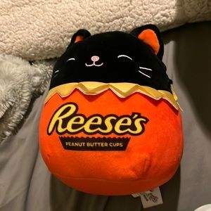 Colton reese’s cat squishmallow